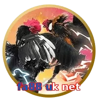 fa88 uk net