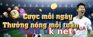 fa88 uk net